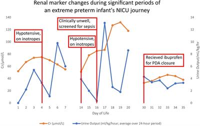 How to know when little kidneys are in trouble: a review of current tools for diagnosing AKI in neonates